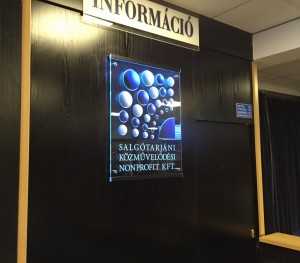 IMG 0907     